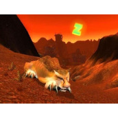 魔兽世界巫妖王之怒猎人必抓五只宠物推荐
