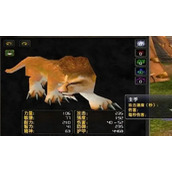 魔兽世界巫妖王之怒猎人宝宝推荐