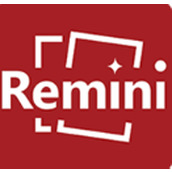 Remini油画