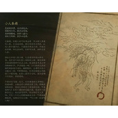 黑神话悟空黑风山精怪小人参精图鉴