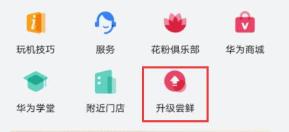 升级尝鲜入口位置
