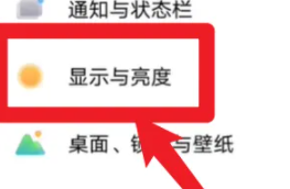显示设置入口