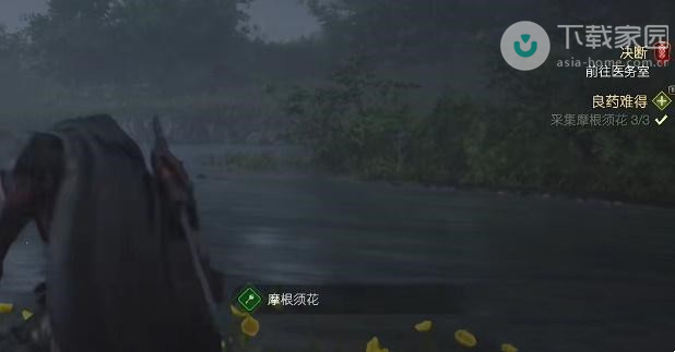 摩根须花采集