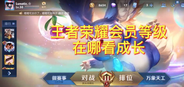 王者荣耀会员成长等级查看方法