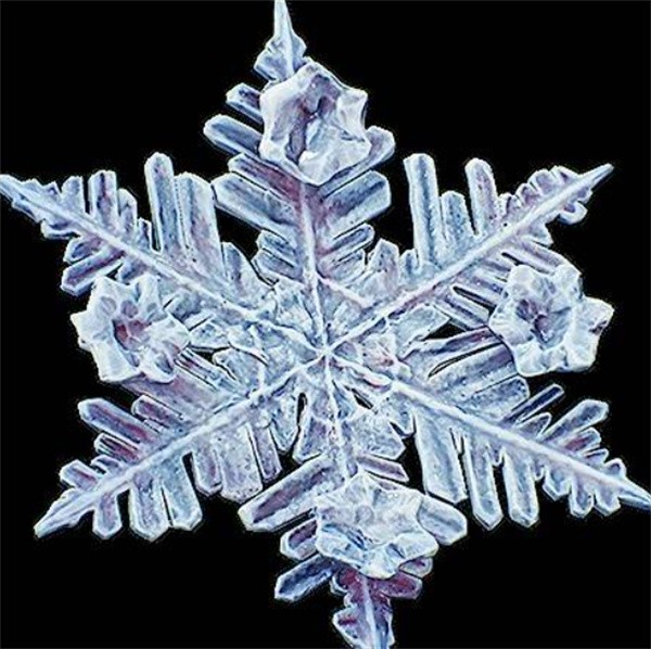 光与影33号远征队吕涅雪结如何获取_光与影33号远征队吕涅雪结获取指南(光与影33号远征队)
