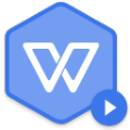 wps2022