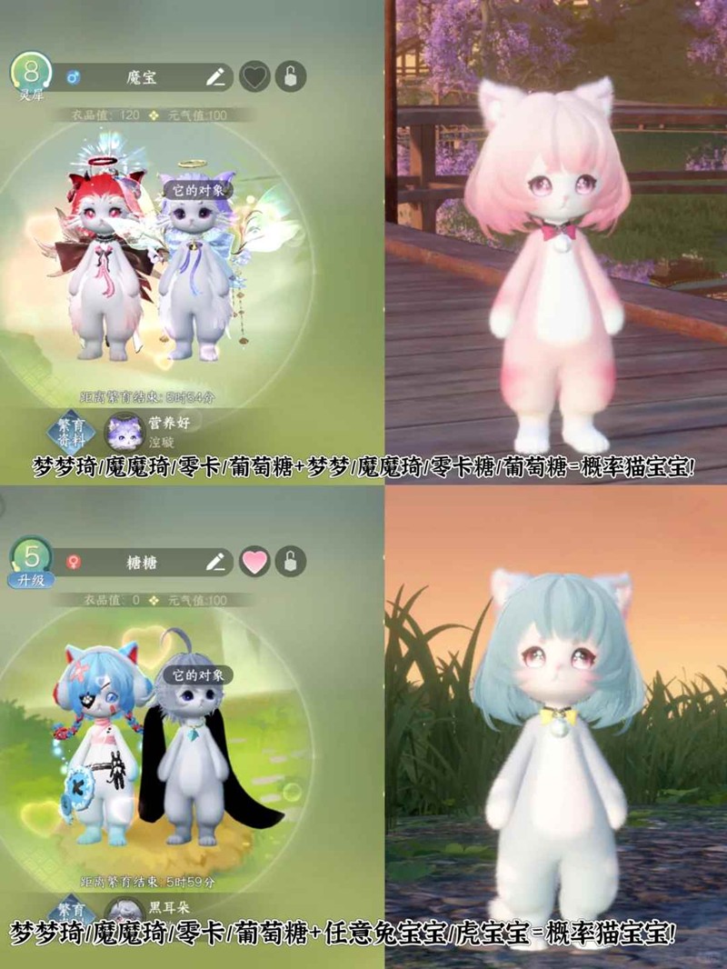 逆水寒手游宠物繁育-新猫宝宝提前繁育版