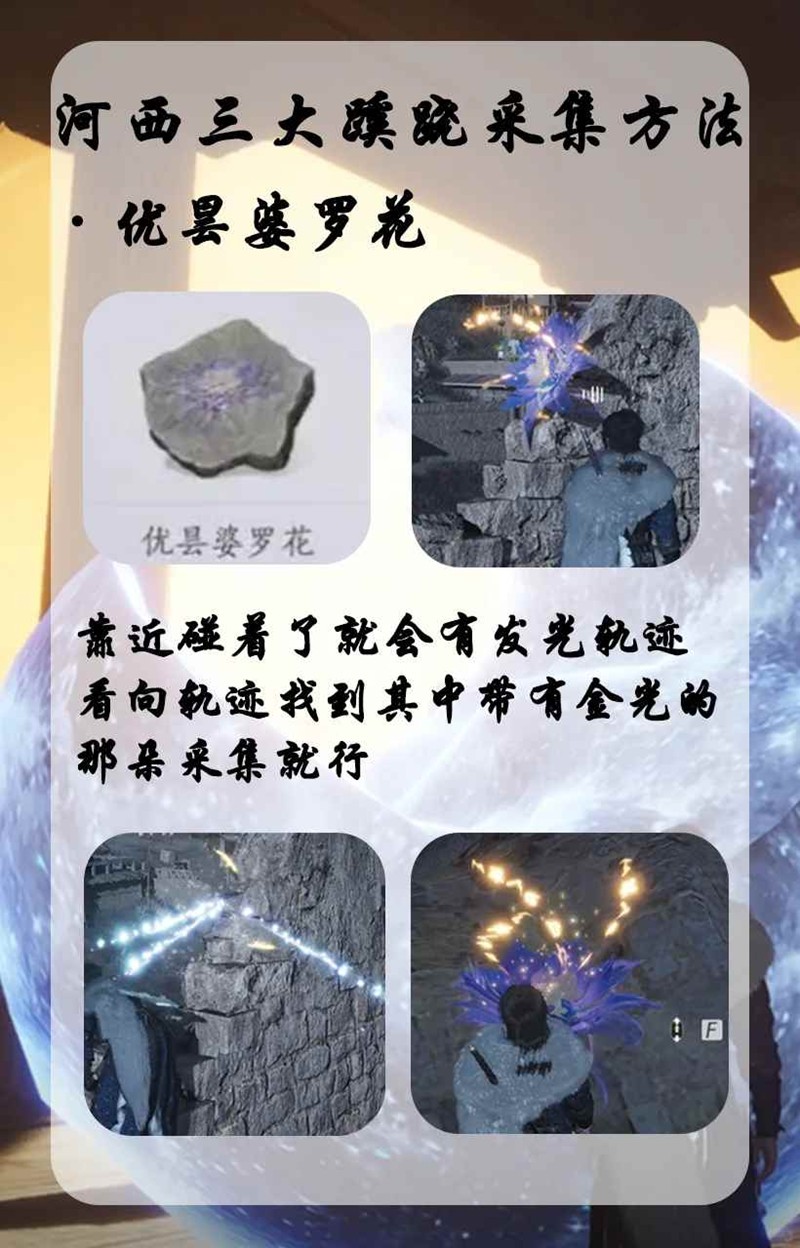燕云十六声河西蹊跷宝箱-蹊跷宝箱怎么获取技巧