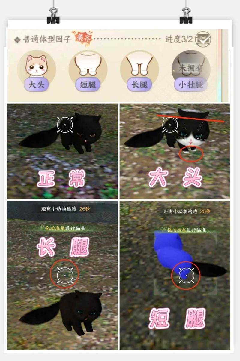 逆水寒怎么获得大师徽章-猫狗篇详细版