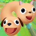 阿猫阿狗