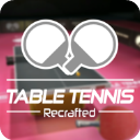 Table Tennis ReCrafted