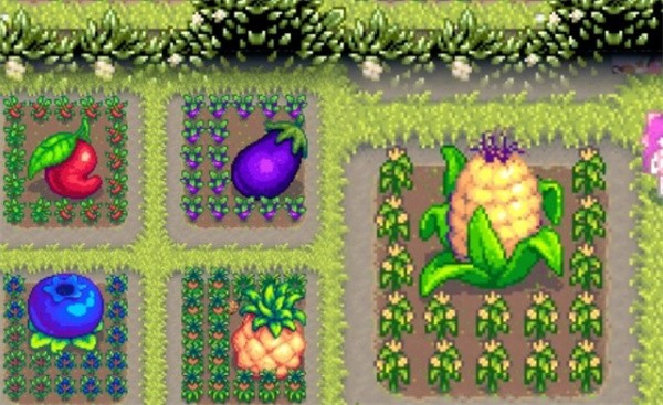 种植布局示意图