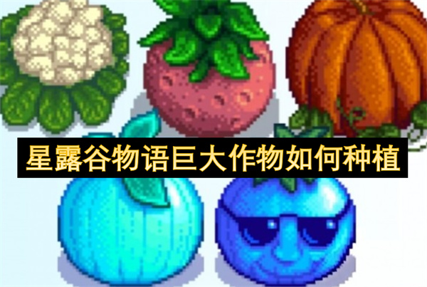 星露谷物语巨大作物怎么种(星露谷物语巨大作物怎么容易出)