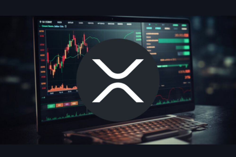 加密猛兽分享XRP的切实价格目标