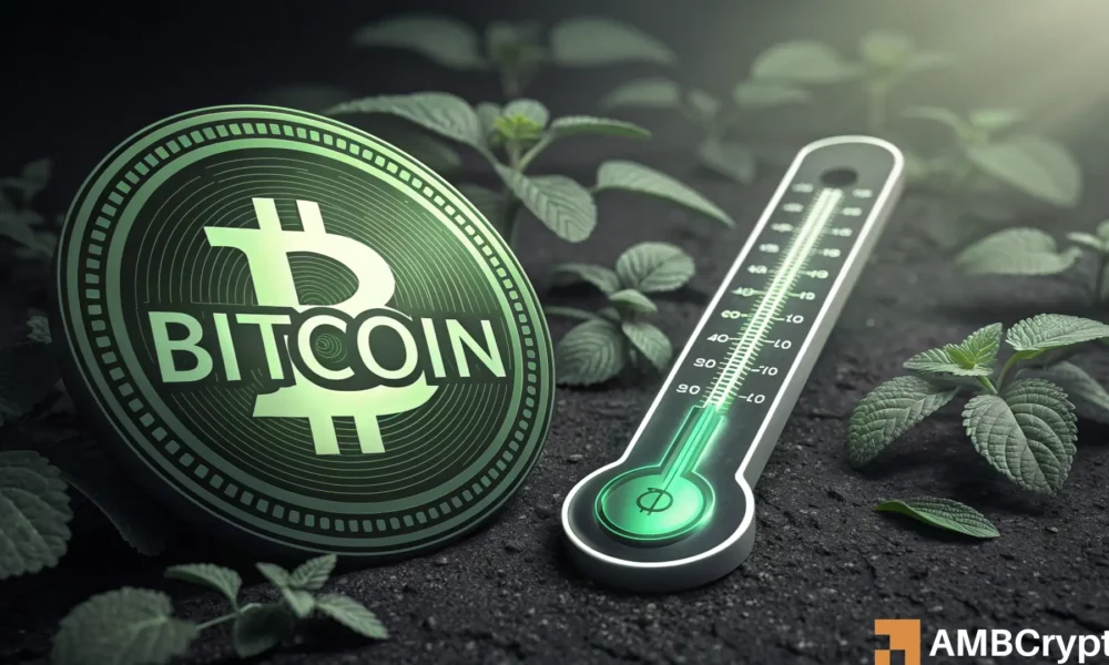 加密恐惧与贪婪指数是否在暗示你该HODL？——评估...