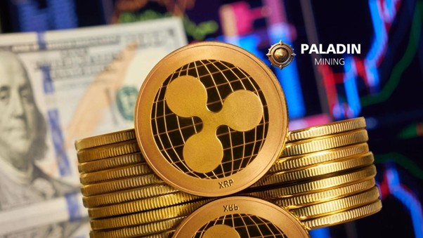 重大升级：实时接收XRP - 每天赚取5000美元