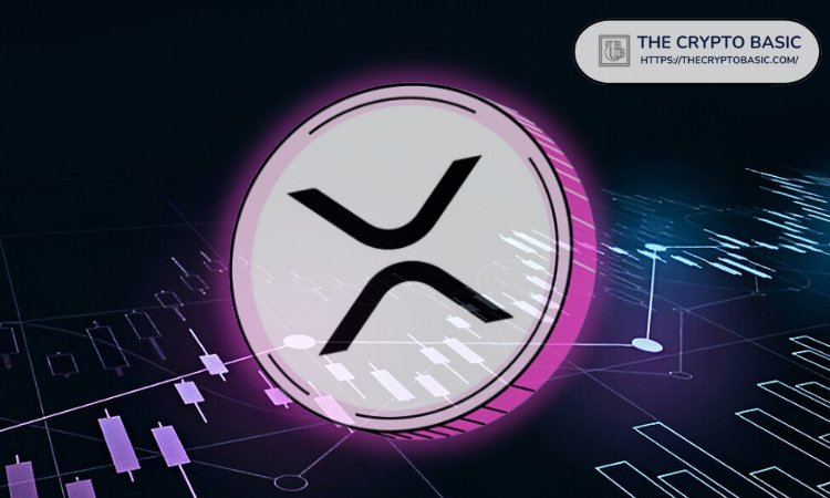 专家建议：如果你是加密货币新手，就把所有钱都投到XRP上