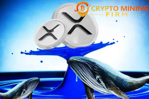 2025年Ripple鲸鱼正悄然重金押注这一云挖矿机遇——原因如下