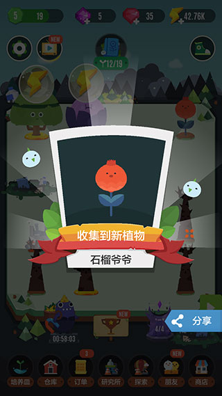 口袋植物(图7)
