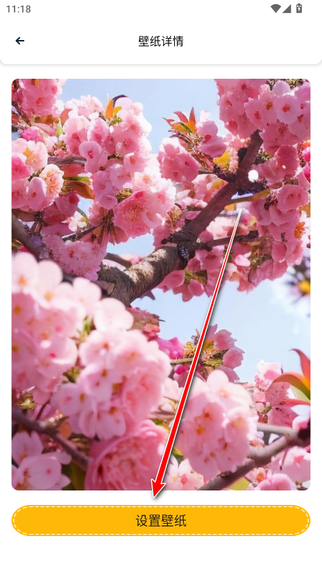 趣美壁纸大全无广告版 趣美壁纸大全无广告版