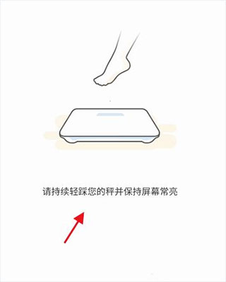 OKOK(图5)