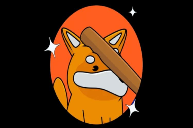 LetsBONK.fun是什么?与Pump.fun有什么区别?Letsbonk发行迷因币教学指南