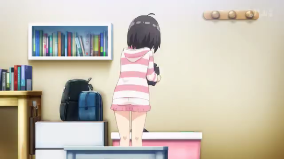 森林动漫new无广告版