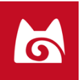 美业猫