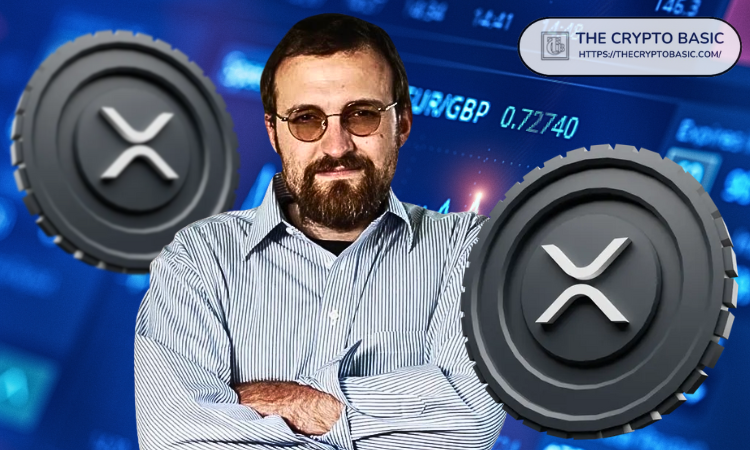 卡尔达诺创始人表示，持有XRP将获得史上最大空投