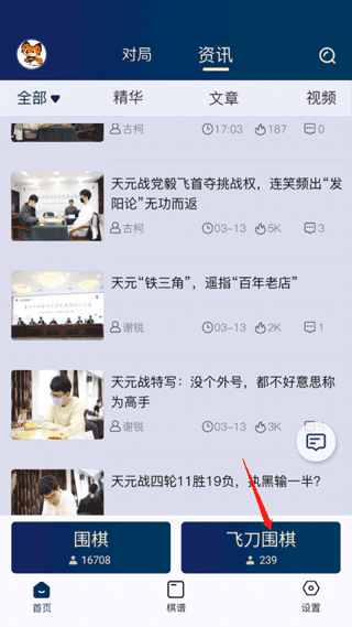 野狐围棋(图1)