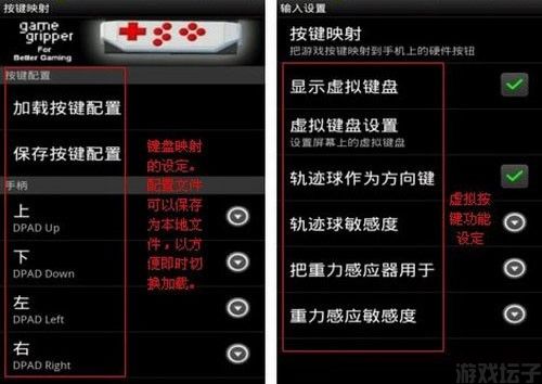 gameboid(图5) gameboid(图5)
