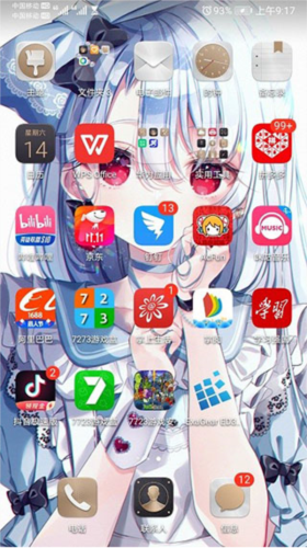 ExaGear ED302(图1)