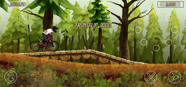bikemayhem(图8)