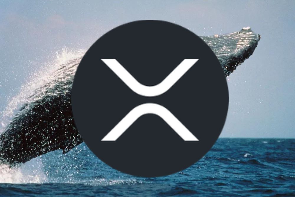 鲸鱼连续挂出39.6万枚和50.2万枚XRP限价单。他掌握了什么内幕？