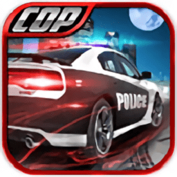 警察巡逻车