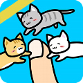和猫咪一起玩