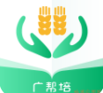 广帮培