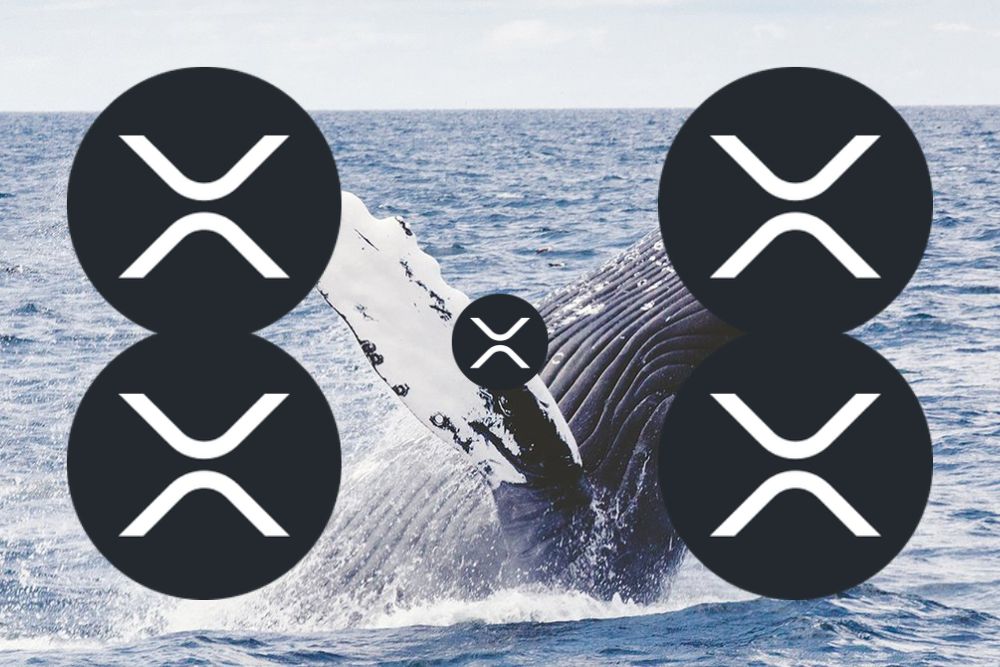 XRP巨鲸正在大量抛售。分析师解释这意味着什么
