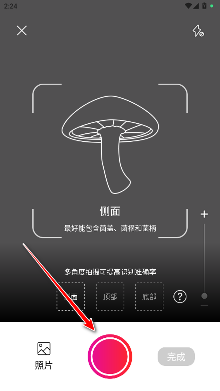 蘑菇识别软件会员解锁版(Picture Mushroom)