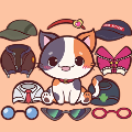 猫咪时尚明星