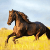 你的电视TV新版软件下载