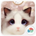 布偶猫梦象动态壁纸