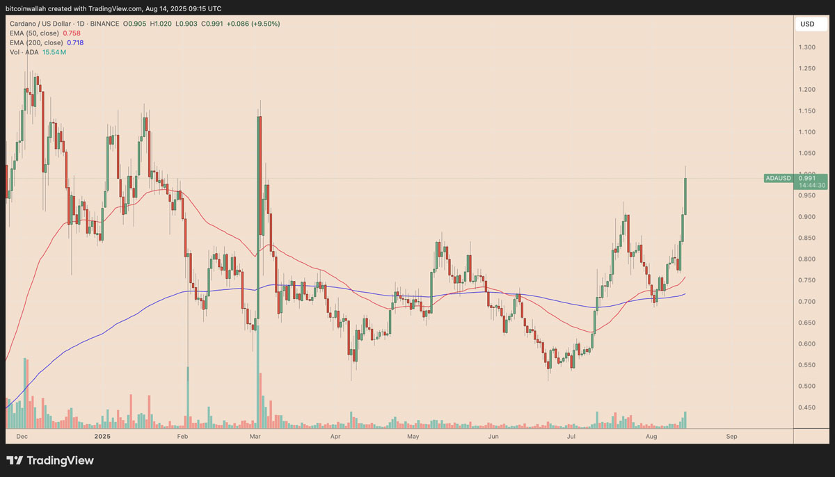 卡尔达诺（Cardano）分析师预测：未来数周或将迎来150%的“强势牛市反弹”