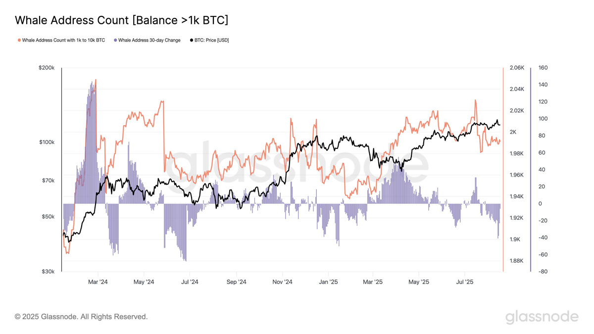 比特币（BTC）价格上升楔形破位：一文搞清楚BTC会跌至何处？