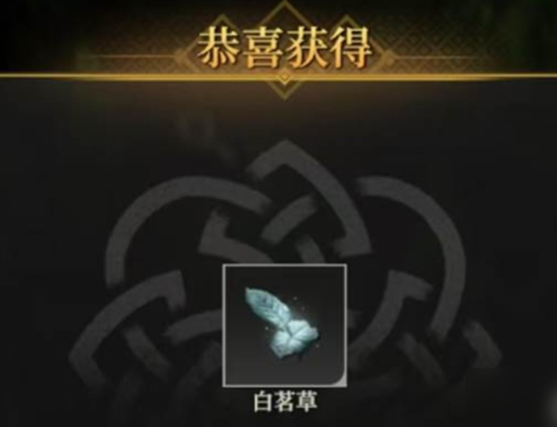 地下城堡4白茗草在哪获取-白茗草位置详解