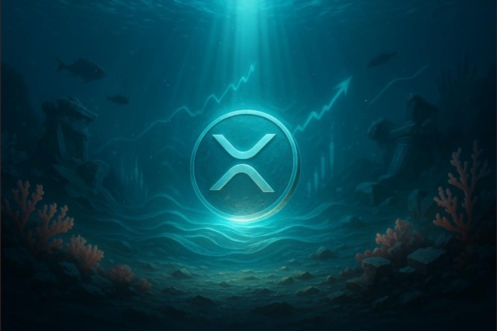 金融专家：为何持有10,000 XRP能使你跻身顶级持币者行列