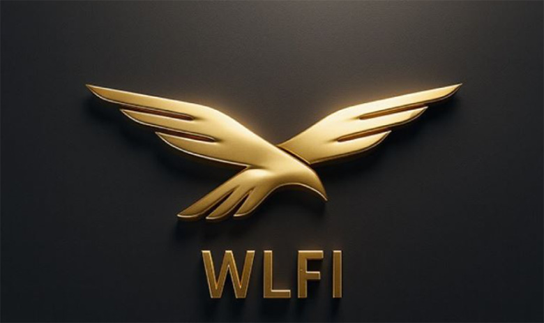 错过预售，WLFI生态还有8类参与方式