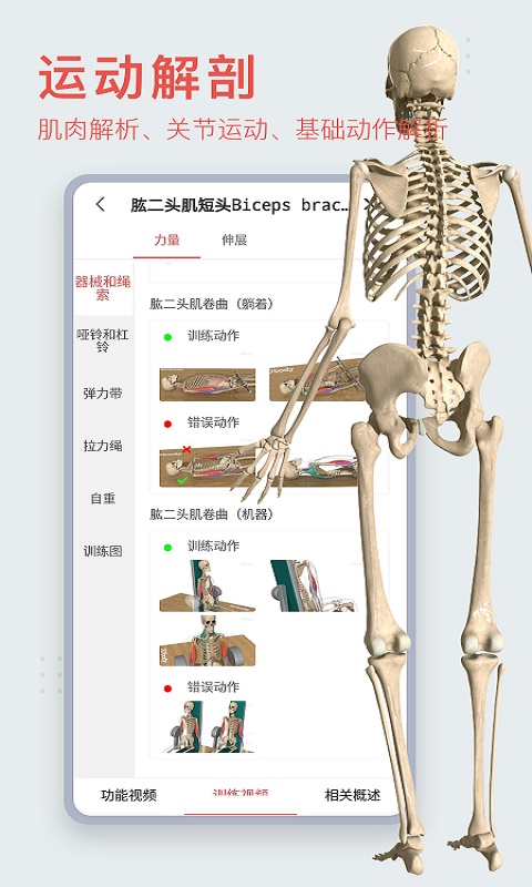3dbody解剖学app