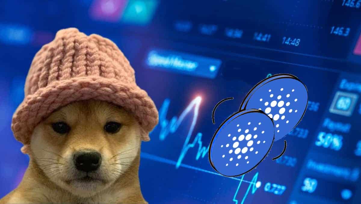 狗戴帽币能否在鲸鱼活动推动后维持涨势
