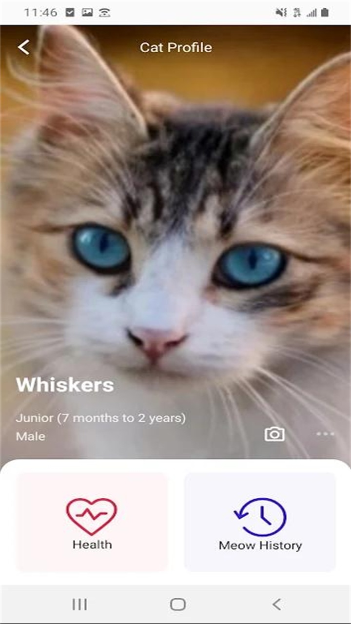 喵说meowtalk中文
